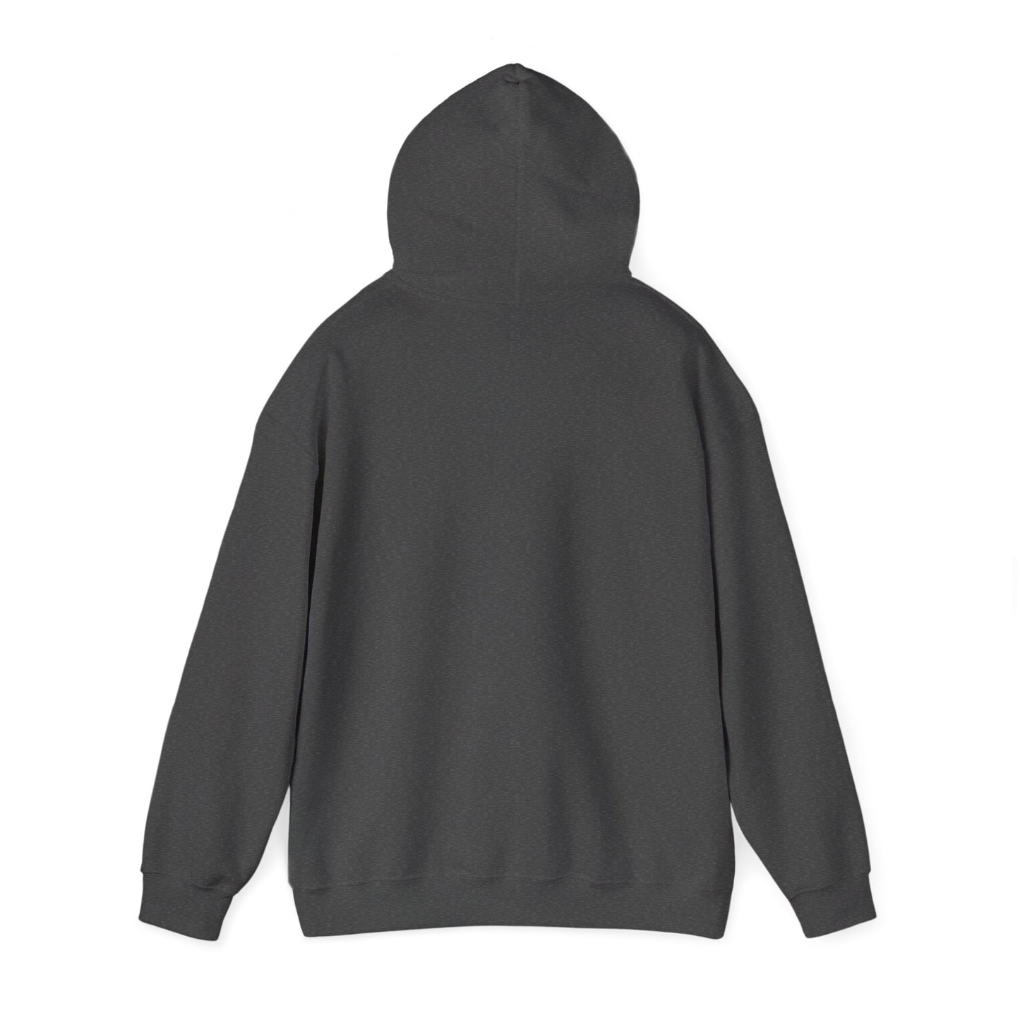 Hoodie — Vintage Field Photo Crew Baseball Bat Retro Graphic Hoodie