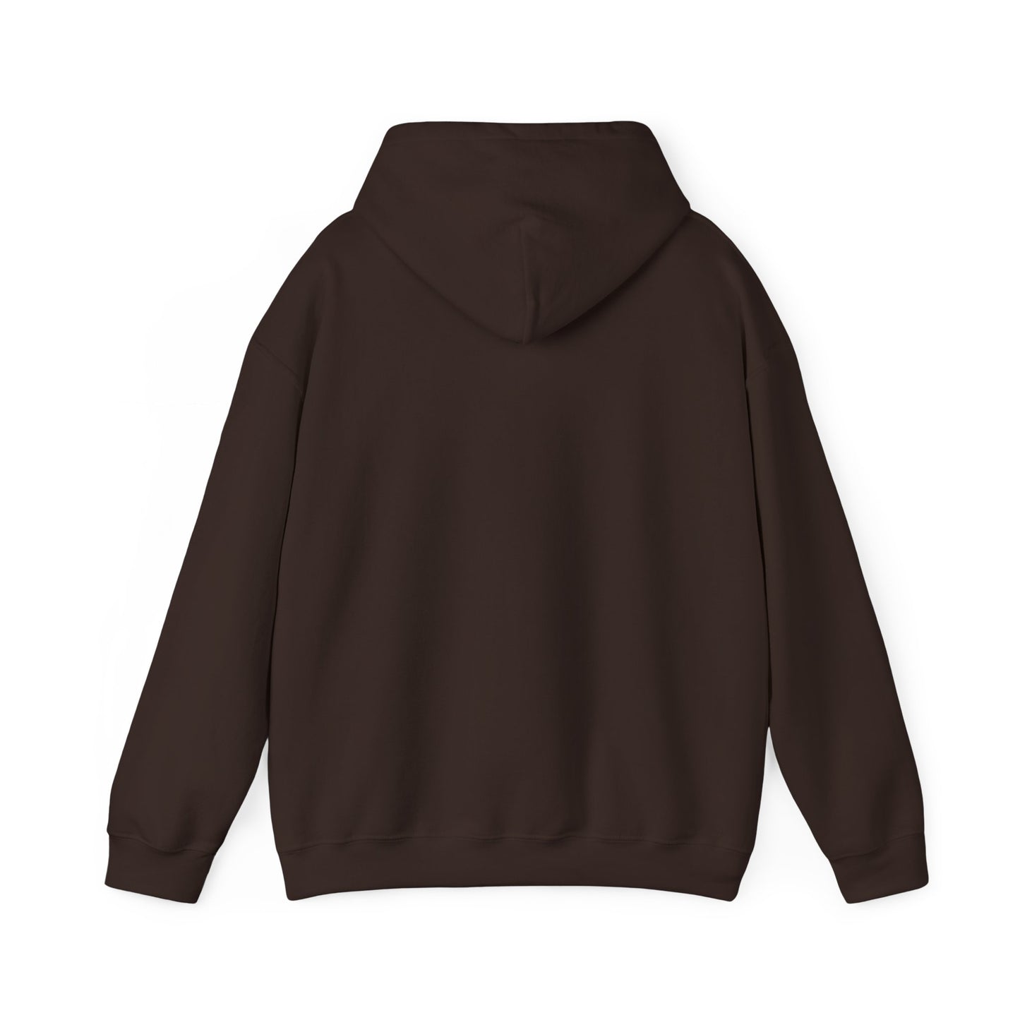 Military Bear Graphic Hoodie — "Brownsack, salty dictators have eyes" Novelty Streetwear