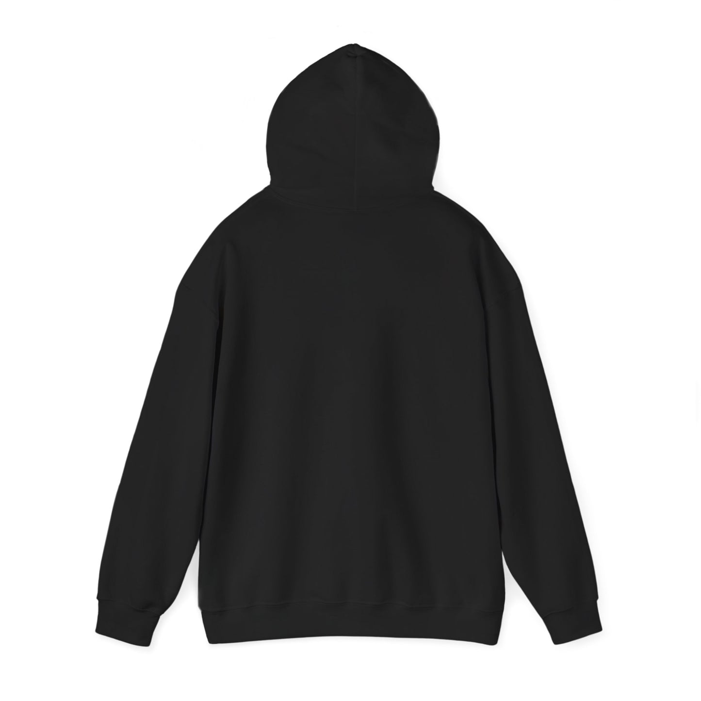 Military Bear Graphic Hoodie — "Brownsack, salty dictators have eyes" Novelty Streetwear