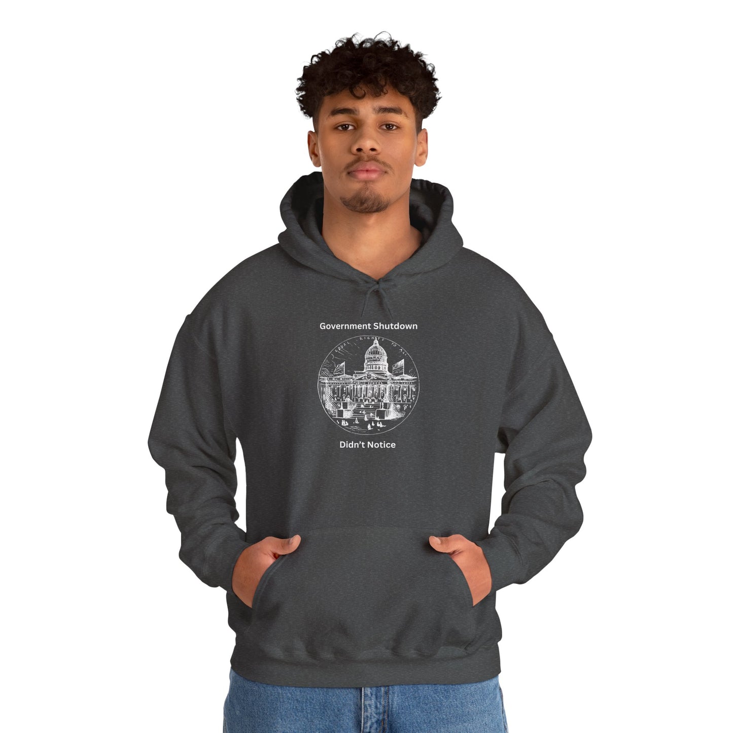 Protest Graphic Hoodie — "Government Shutdown Didn't Notice" Capitol Design